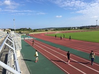 グループに分かれて各自練習している陸上選手たちの写真