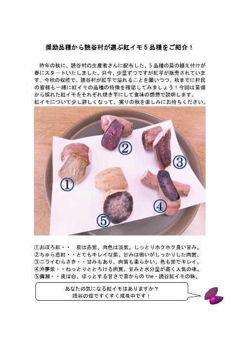 奨励品種から読谷村が選ぶ紅イモ5品種のご紹介!