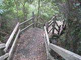 森の中にある、両脇に木の手すりがある、ジグザグに曲がった踊り場と階段の写真