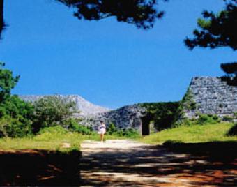草地と木に囲まれた、石造りの城跡地の写真