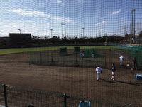 オキハム読谷平和の森球場で野球の練習をしている中日ドラゴンズの選手たちの写真
