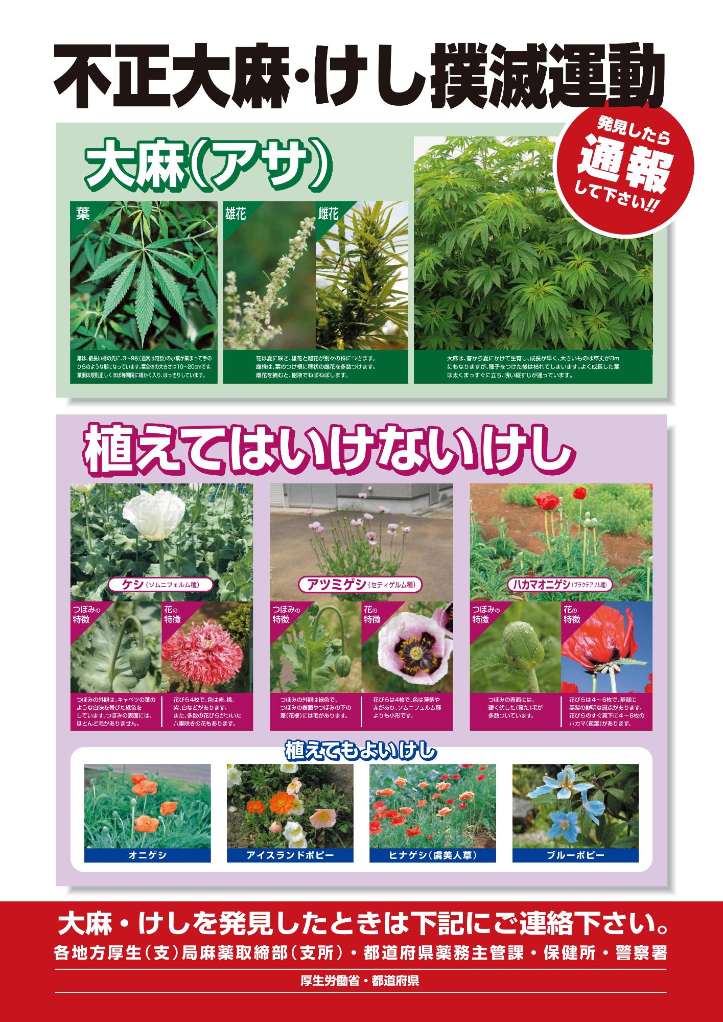 大麻・けし撲滅運動ポスター