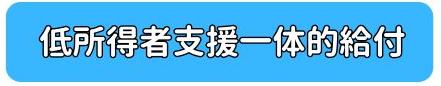 低所得者支援一体的給付