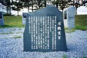 s錾