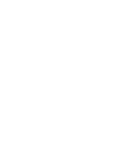 海に向かう鳳