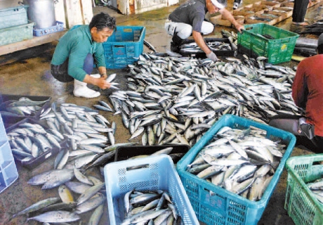 水産業