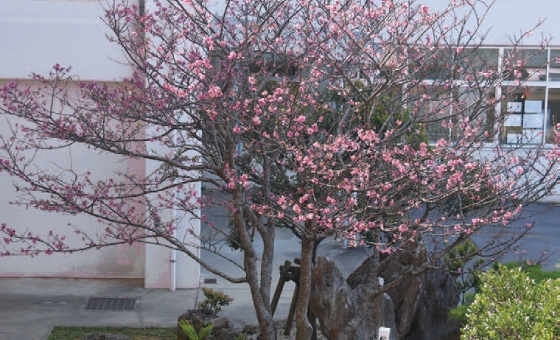 個々の可能性を最大限に発揮できるように支援