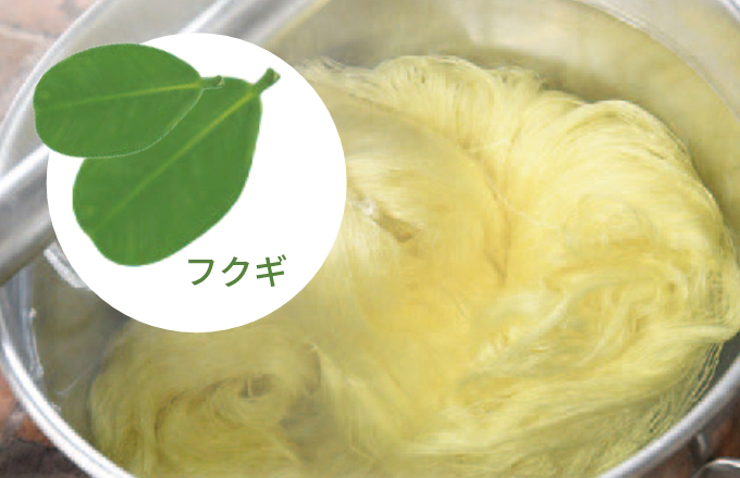 フクギ（福木）などの植物染料を用いた伝統的な草木染め